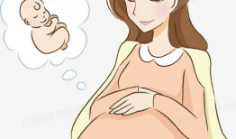 妊妇 漫画,漫画中的孕妈日常